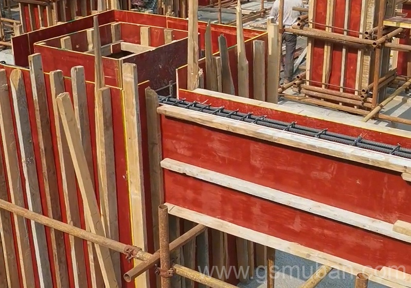 建筑木方是什么木生產的?常用的五種木質介紹