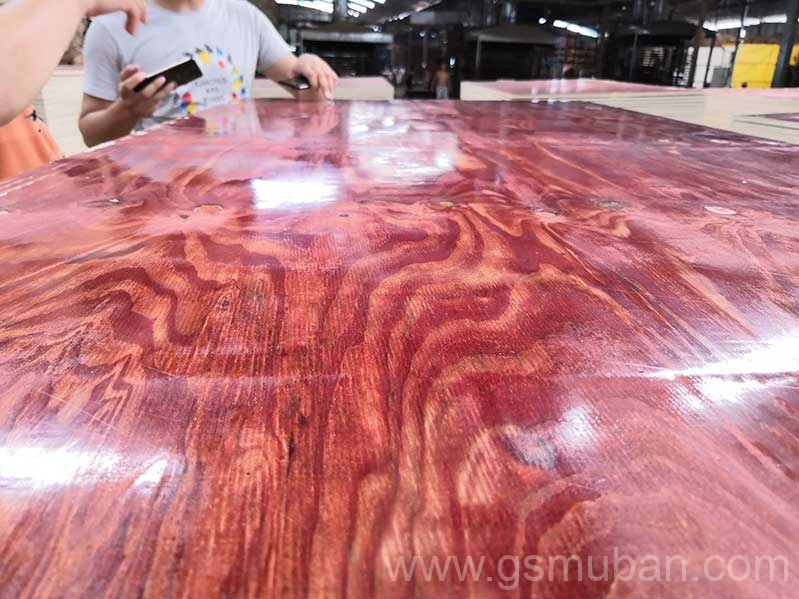 2025年建筑模板市場分析：機遇與挑戰并存！